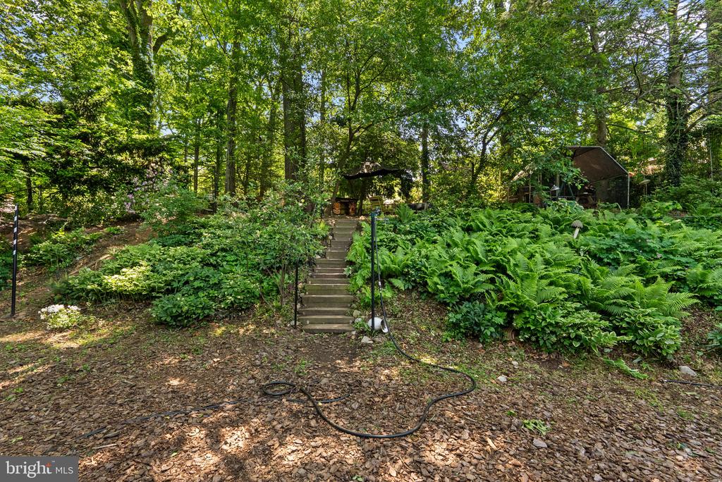 8313 PINEY BRANCH ROAD