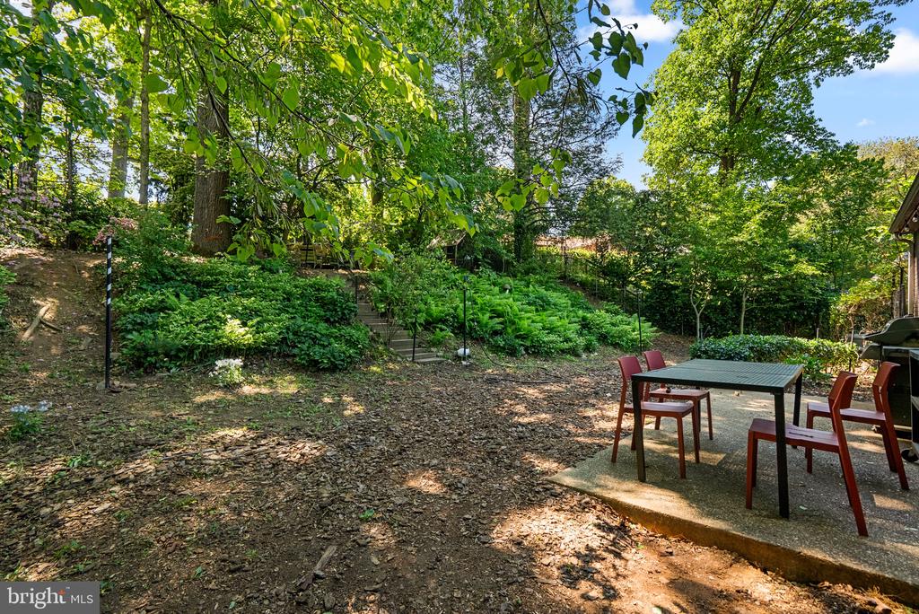 8313 PINEY BRANCH ROAD
