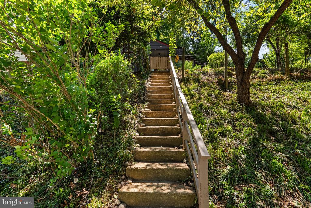 8313 PINEY BRANCH ROAD