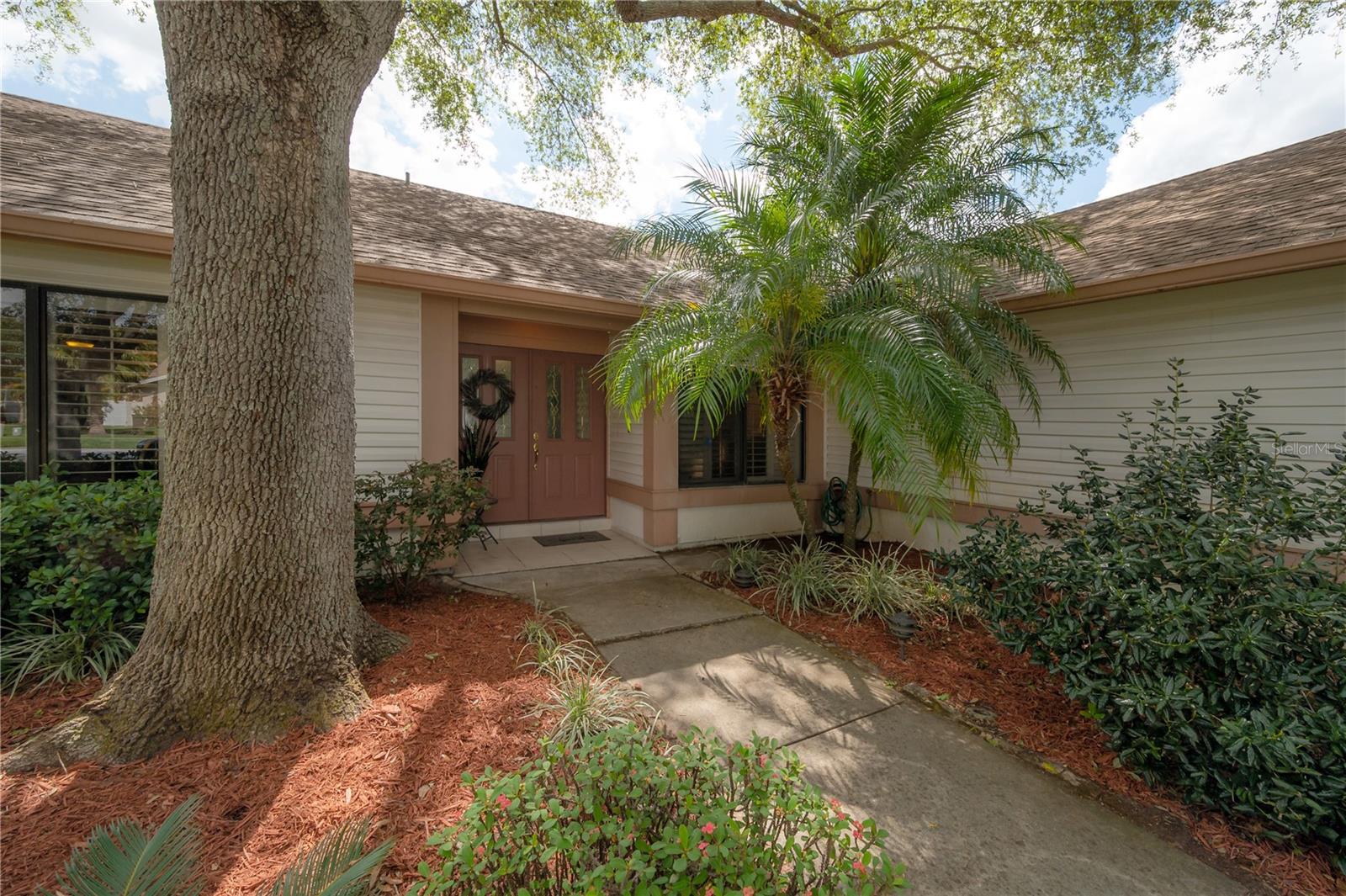 2669 FRISCO DR