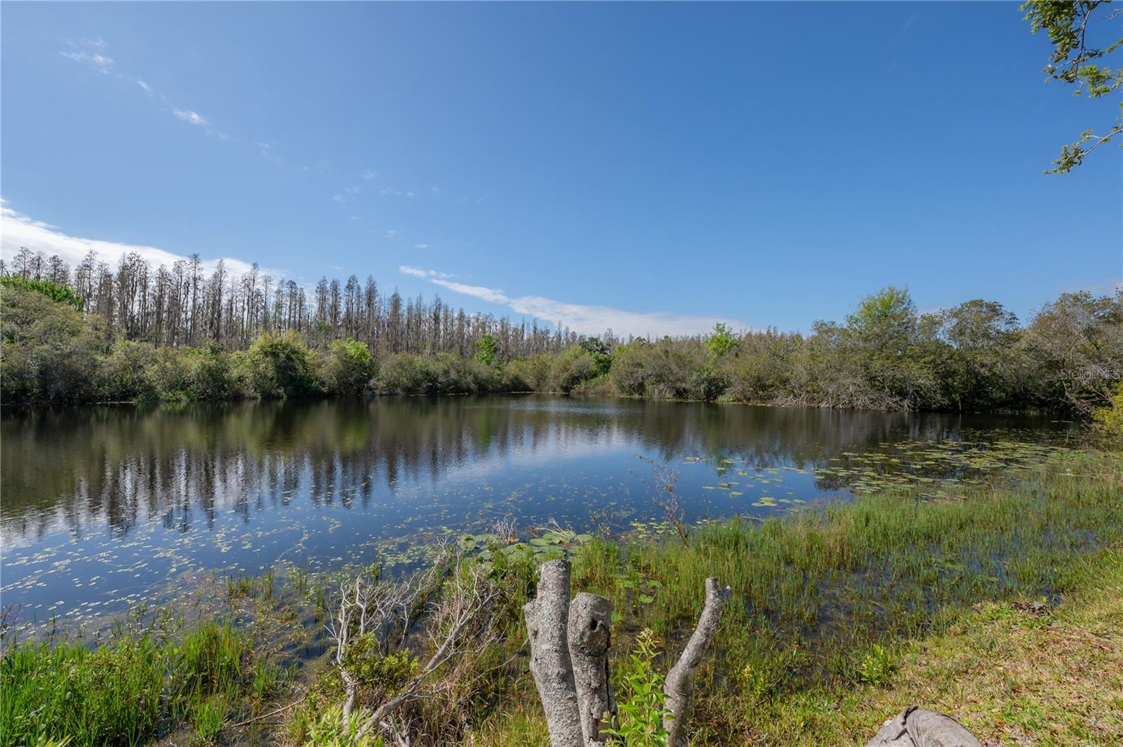 11718 WINTERSET COVE DR