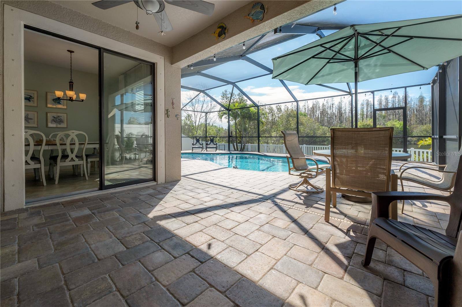 11718 WINTERSET COVE DR