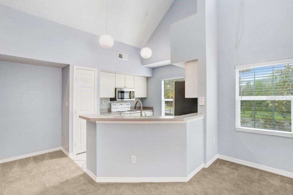 9338 LAKE CHASE ISLAND WAY #9338
