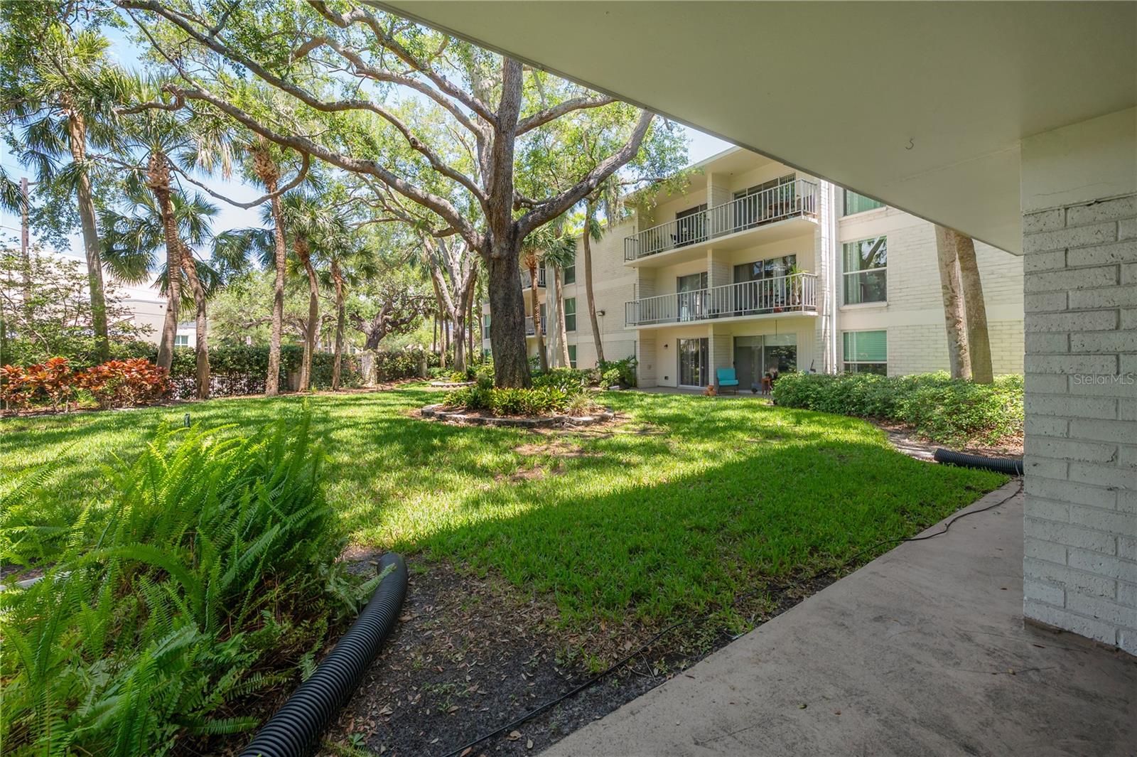 3325 BAYSHORE BLVD #F14