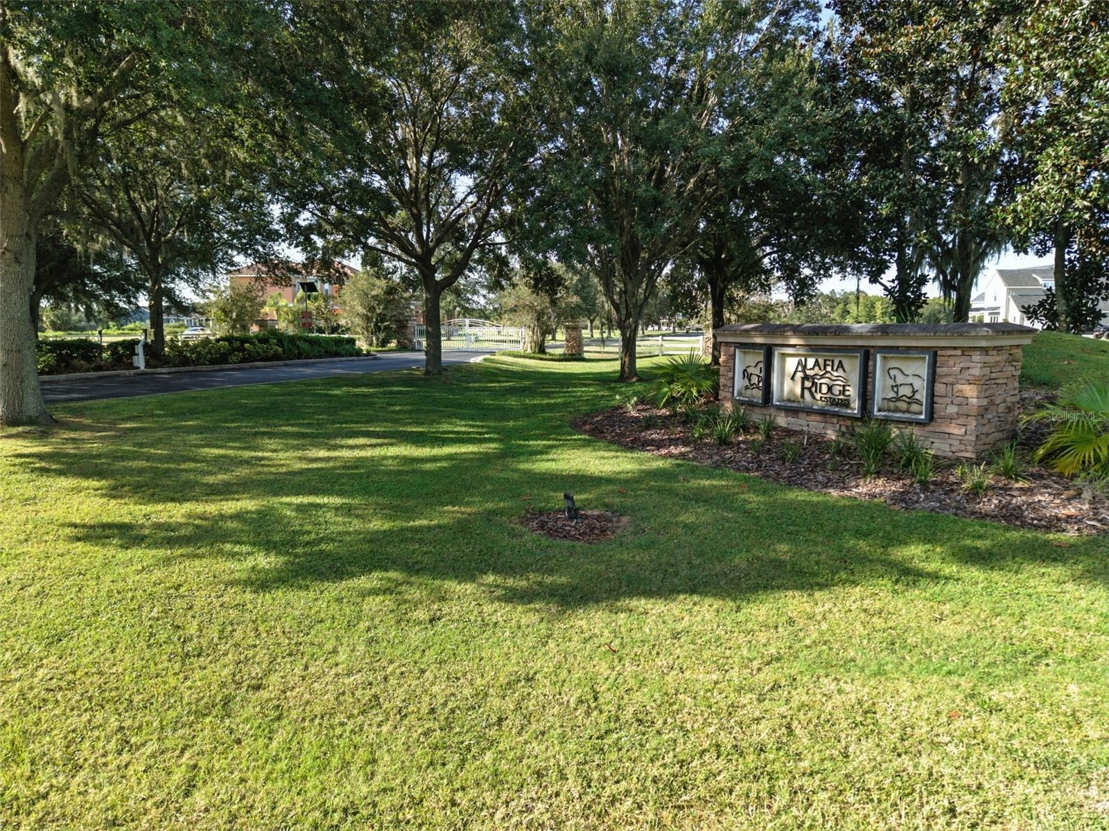 8504 ALAFIA HILLS DR