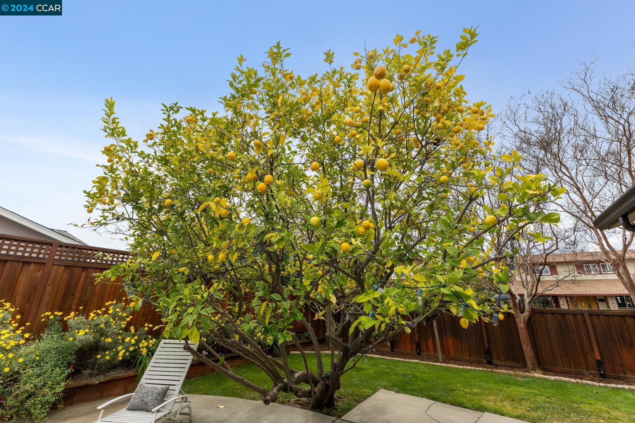 1331 Sumac Circle