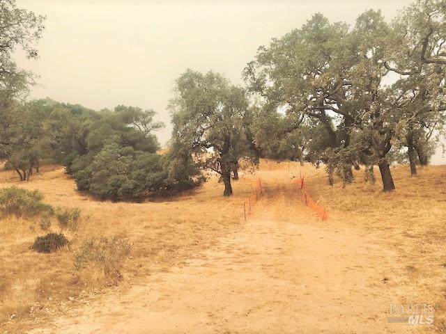 0 Alameda Del Prado