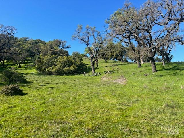 0 Alameda Del Prado