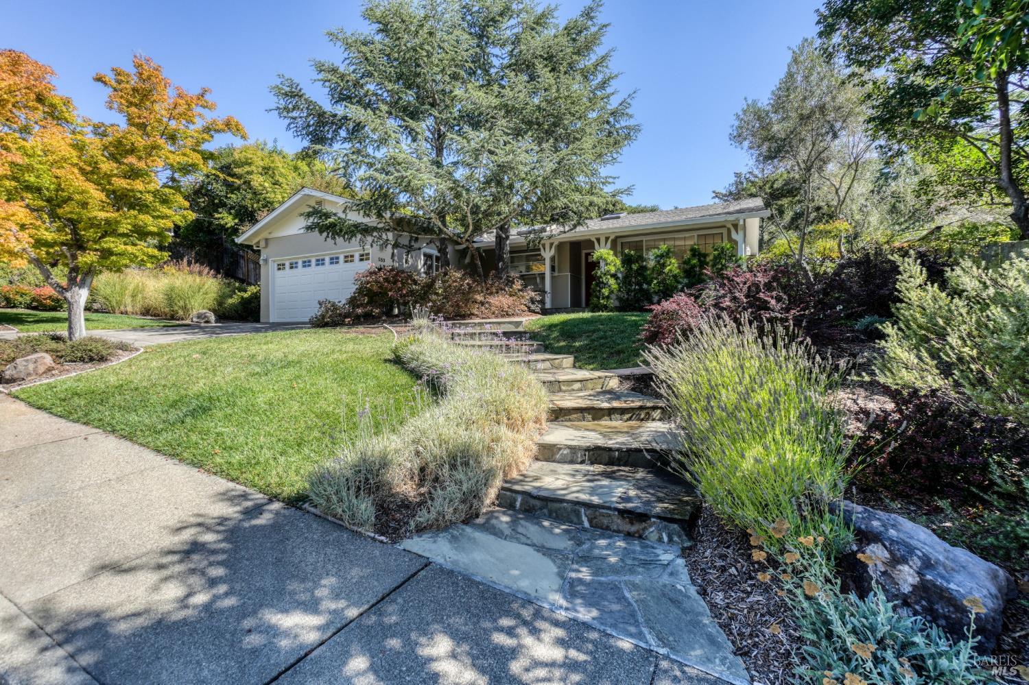 153 Trellis Drive
