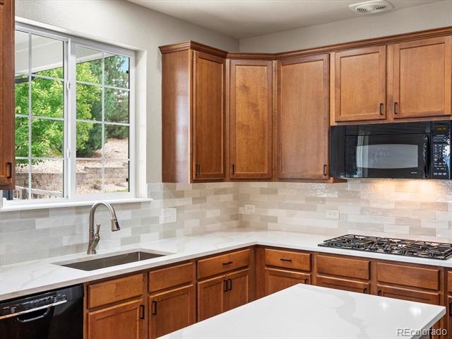 2853 Black Canyon Way
