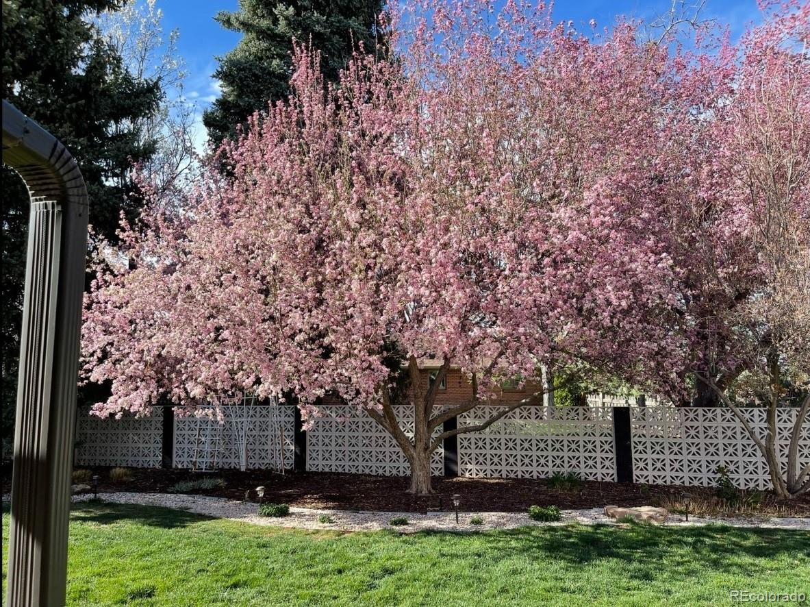 5401 W Lakeridge Road