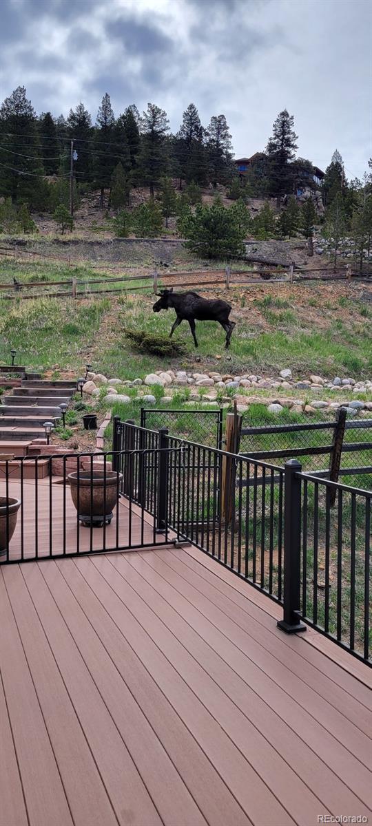 29845 Spruce Canyon Drive