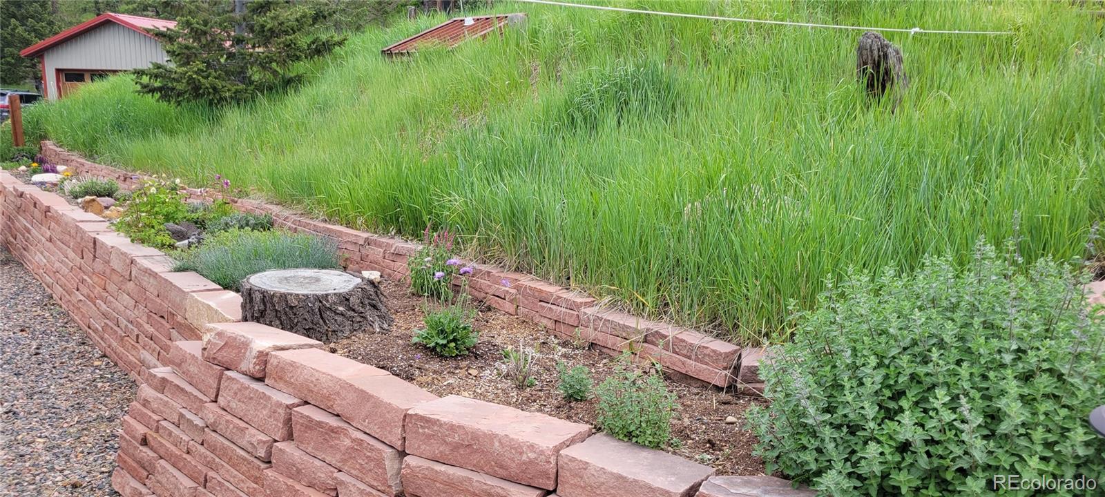 29845 Spruce Canyon Drive
