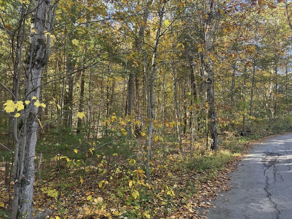 5 Preston Pl, Beverly