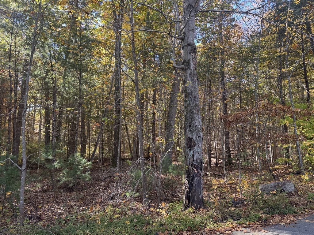 5 Preston Pl, Beverly