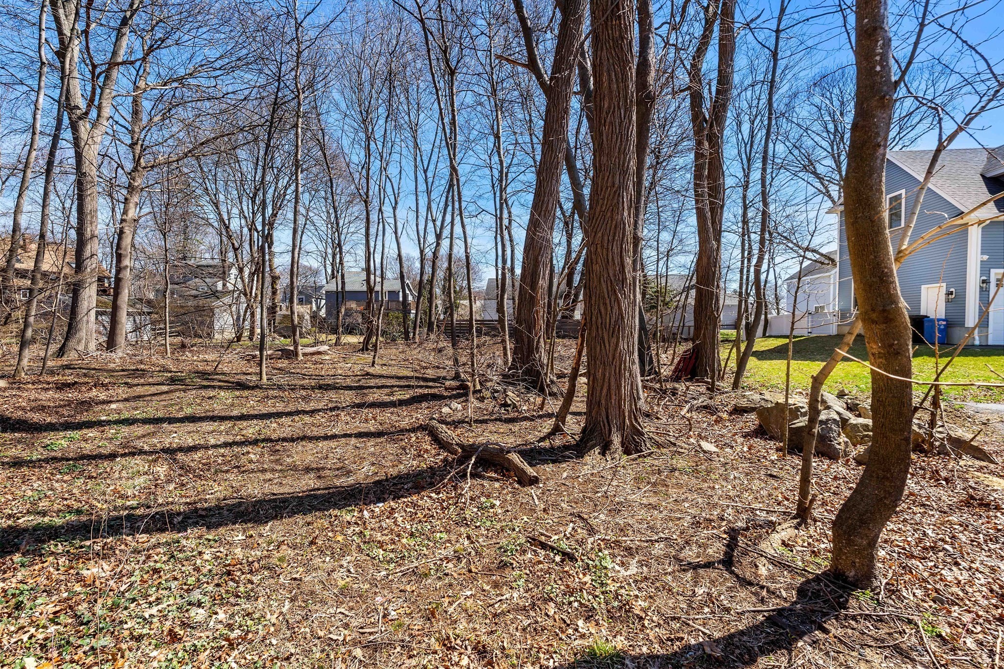114 Livingstone Ave