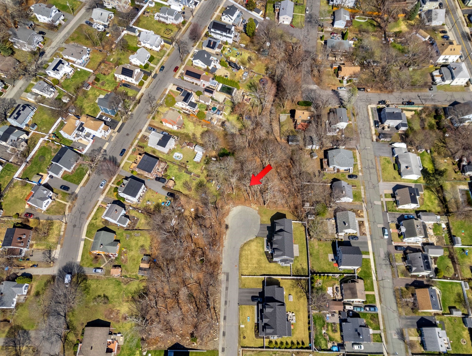 114 Livingstone Ave