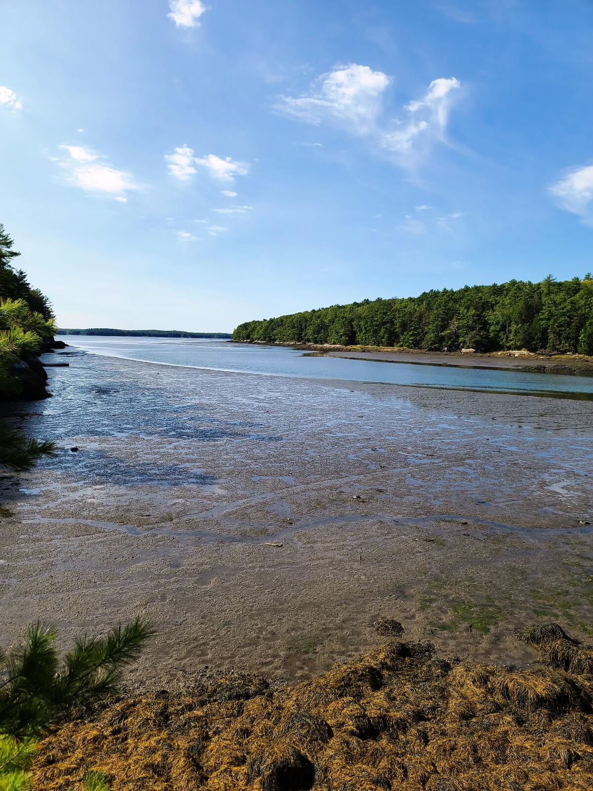 Lot 9 Youngs Point