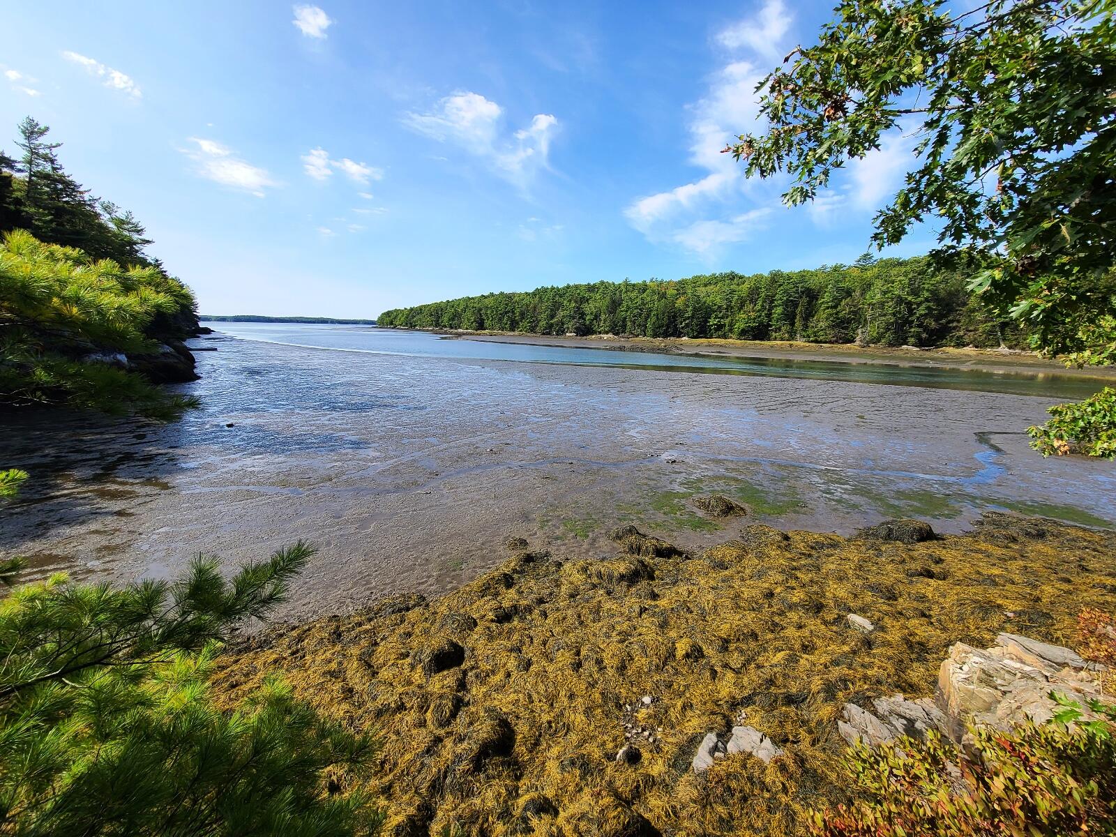 Lot 9 Youngs Point