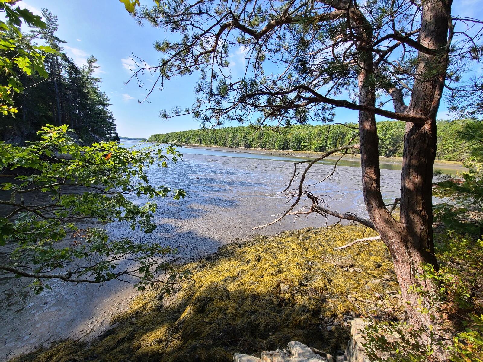 Lot 9 Youngs Point