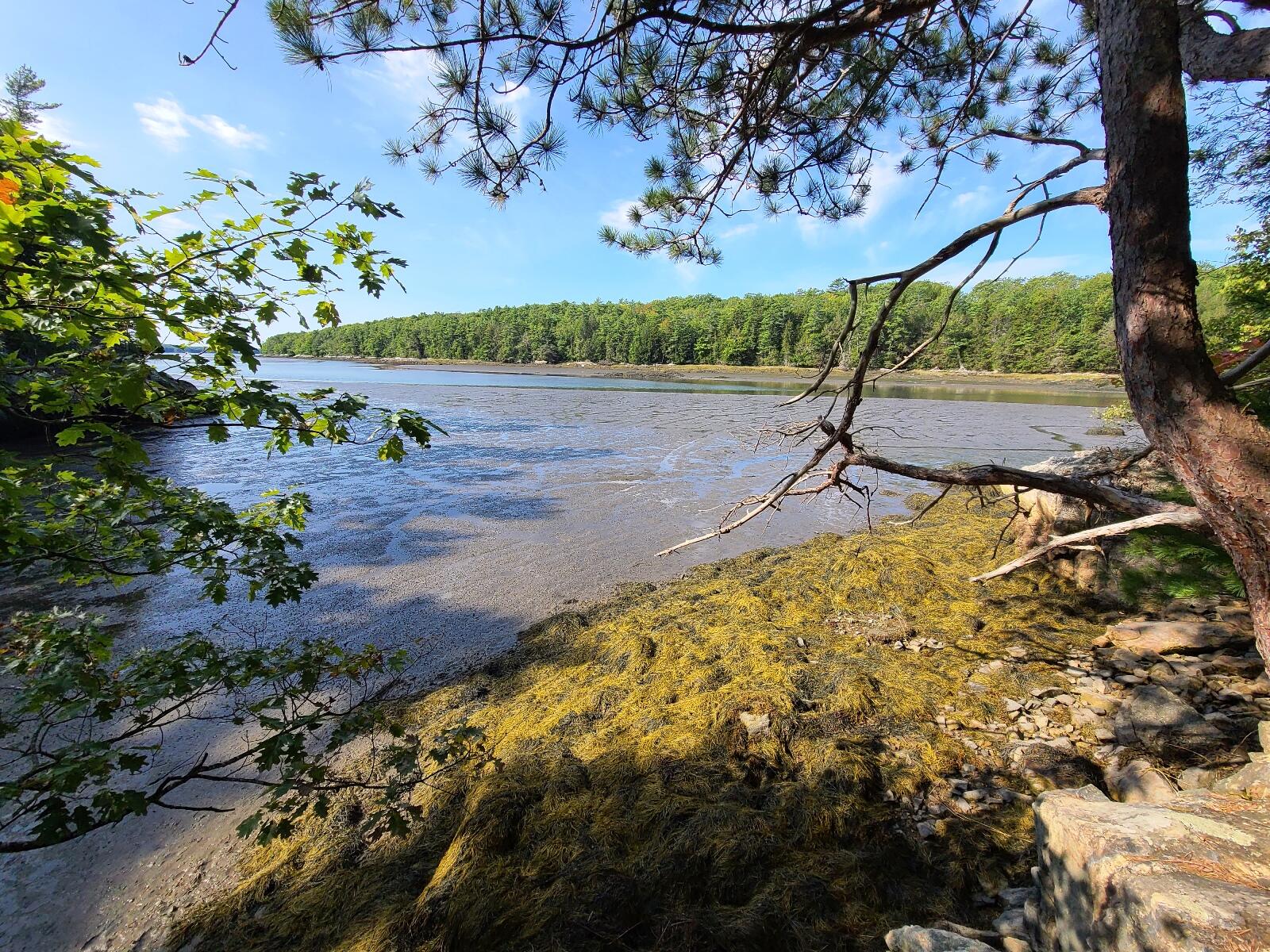 Lot 9 Youngs Point