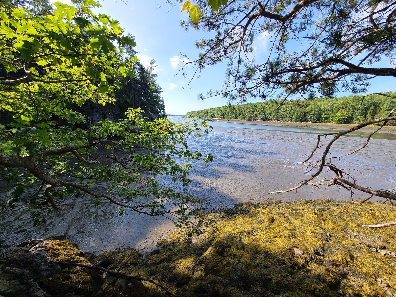 Lot 9 Youngs Point