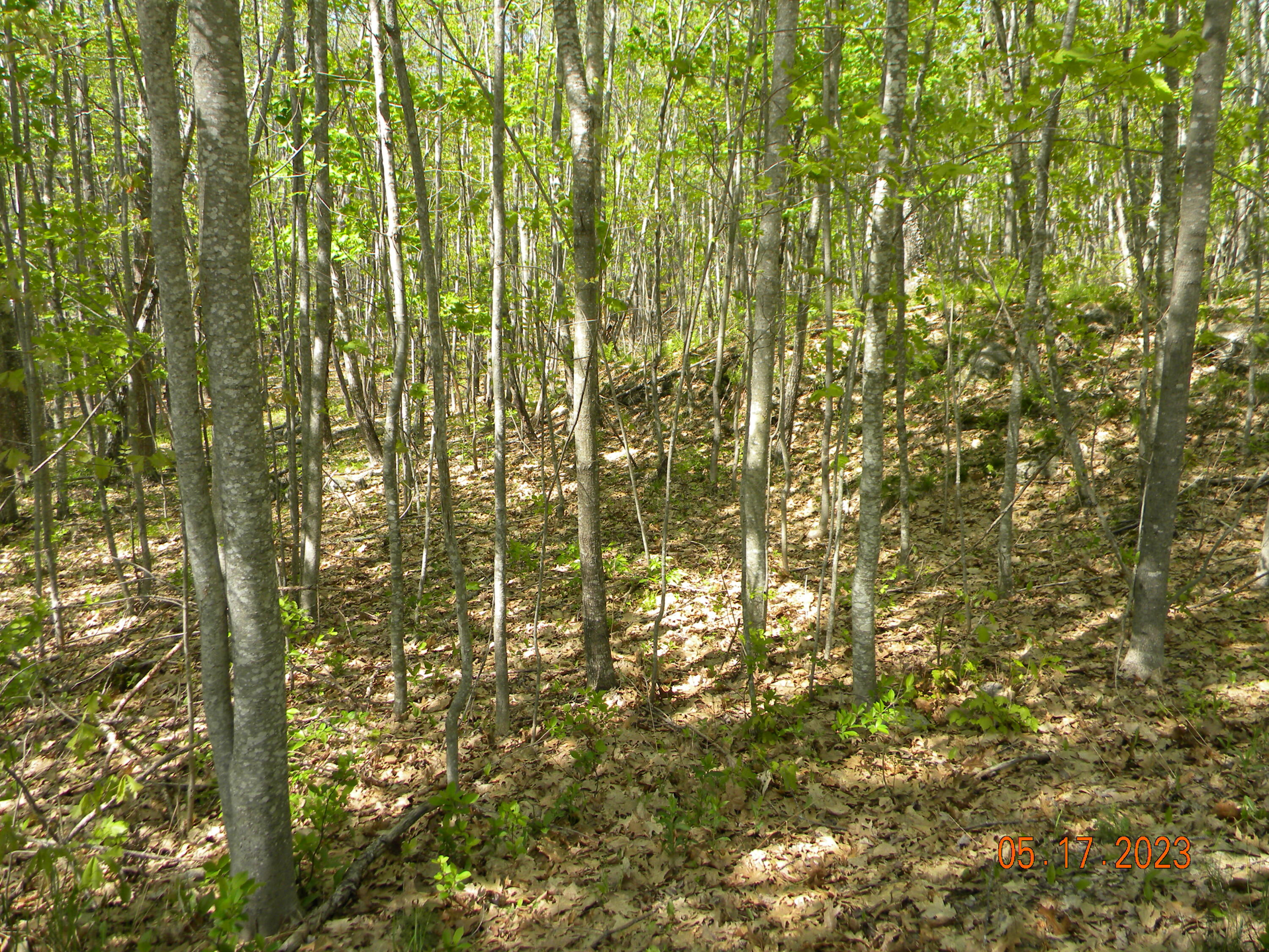 369 Barley Neck Road, Lot C