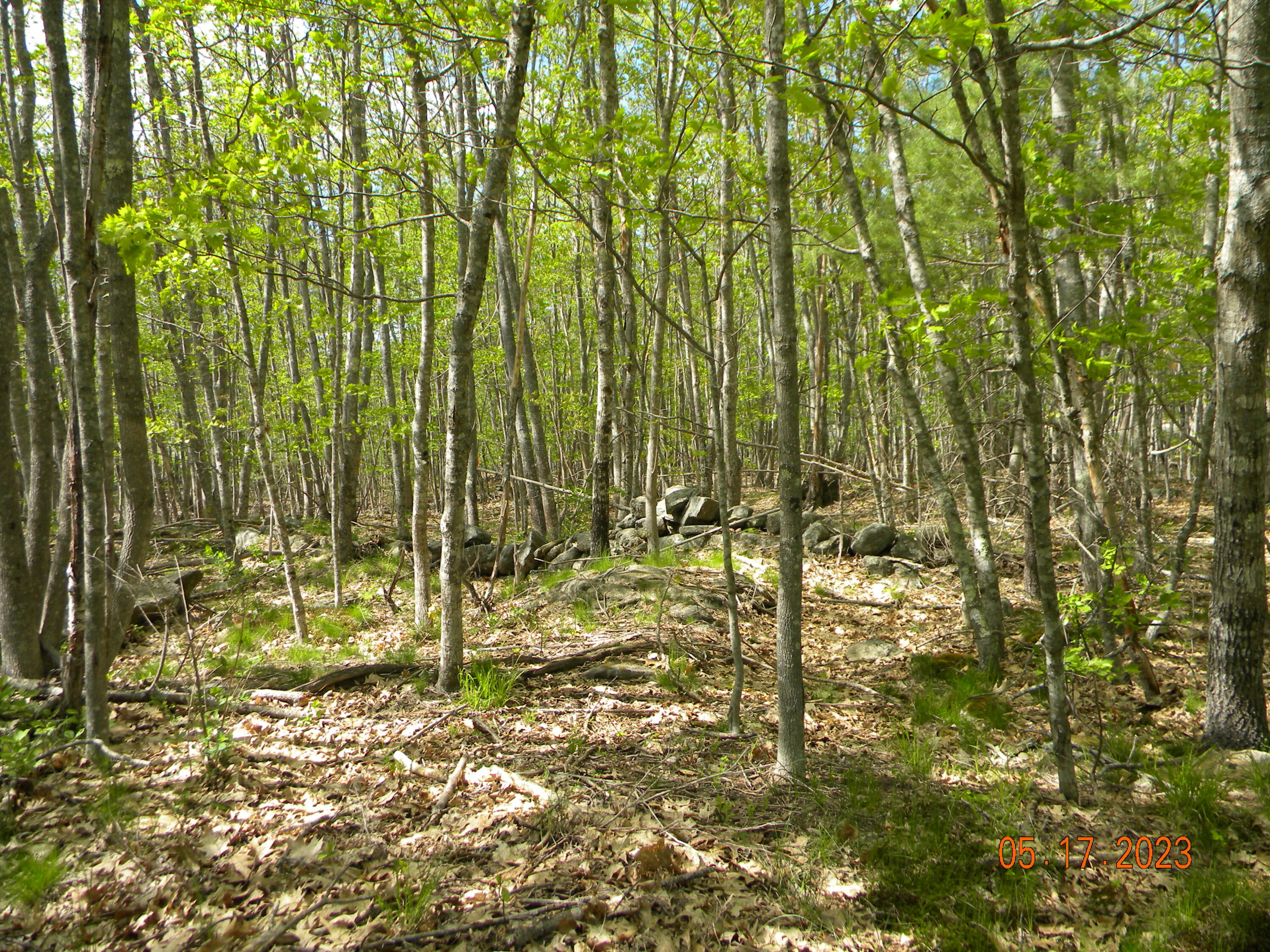 369 Barley Neck Road, Lot C