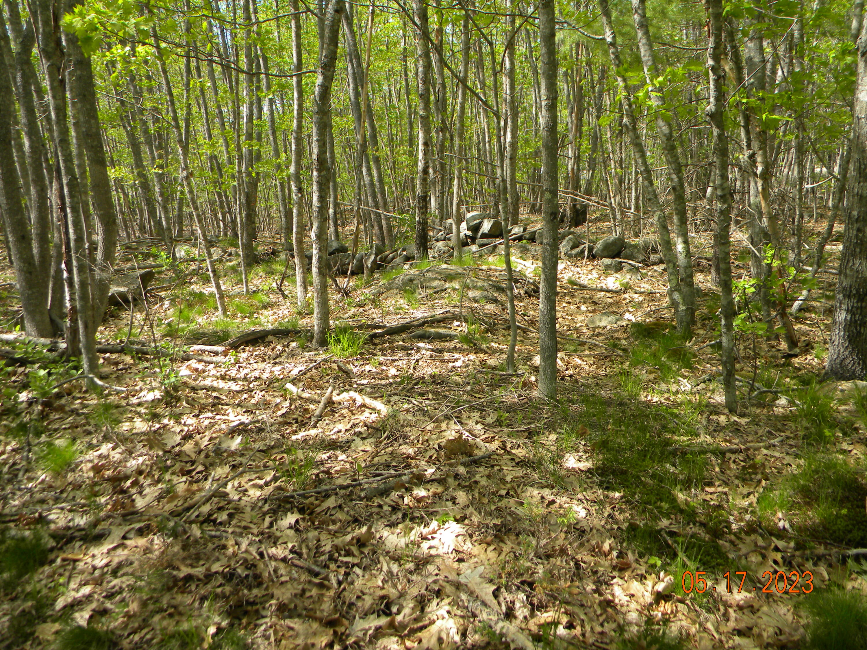 369 Barley Neck Road, Lot C