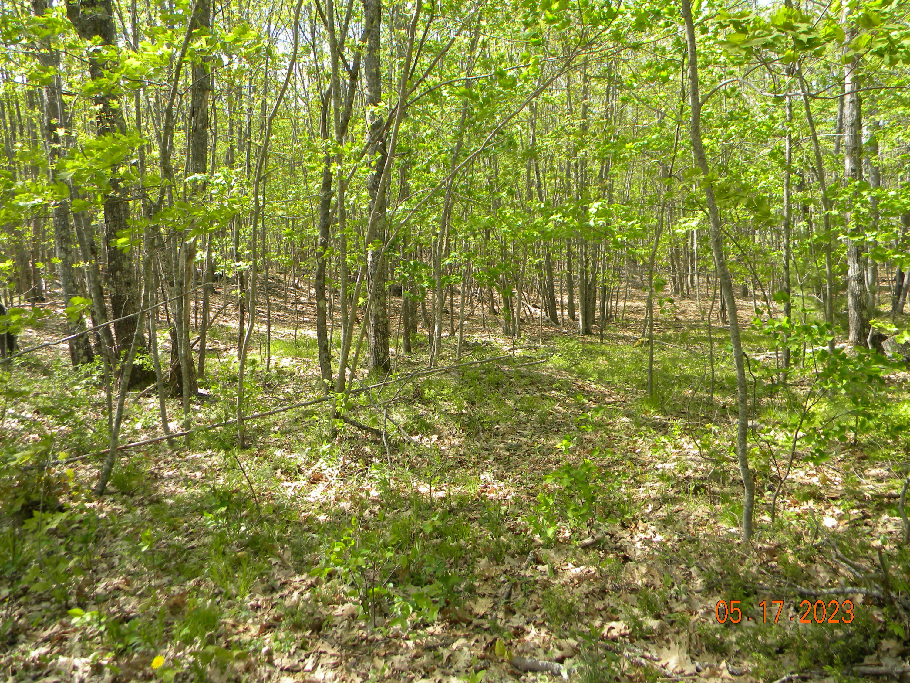 369 Barley Neck Road, Lot C