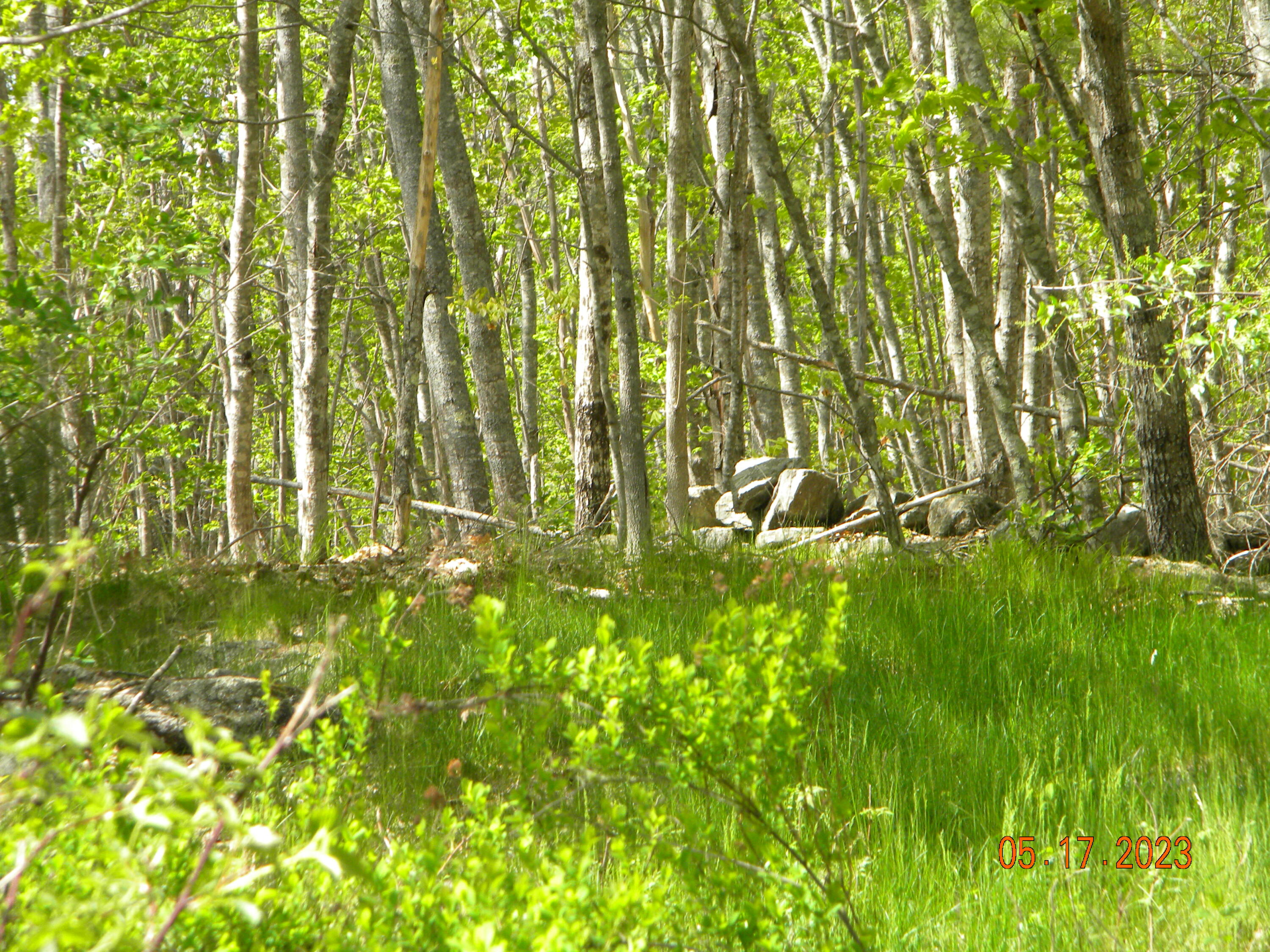 369 Barley Neck Road, Lot C