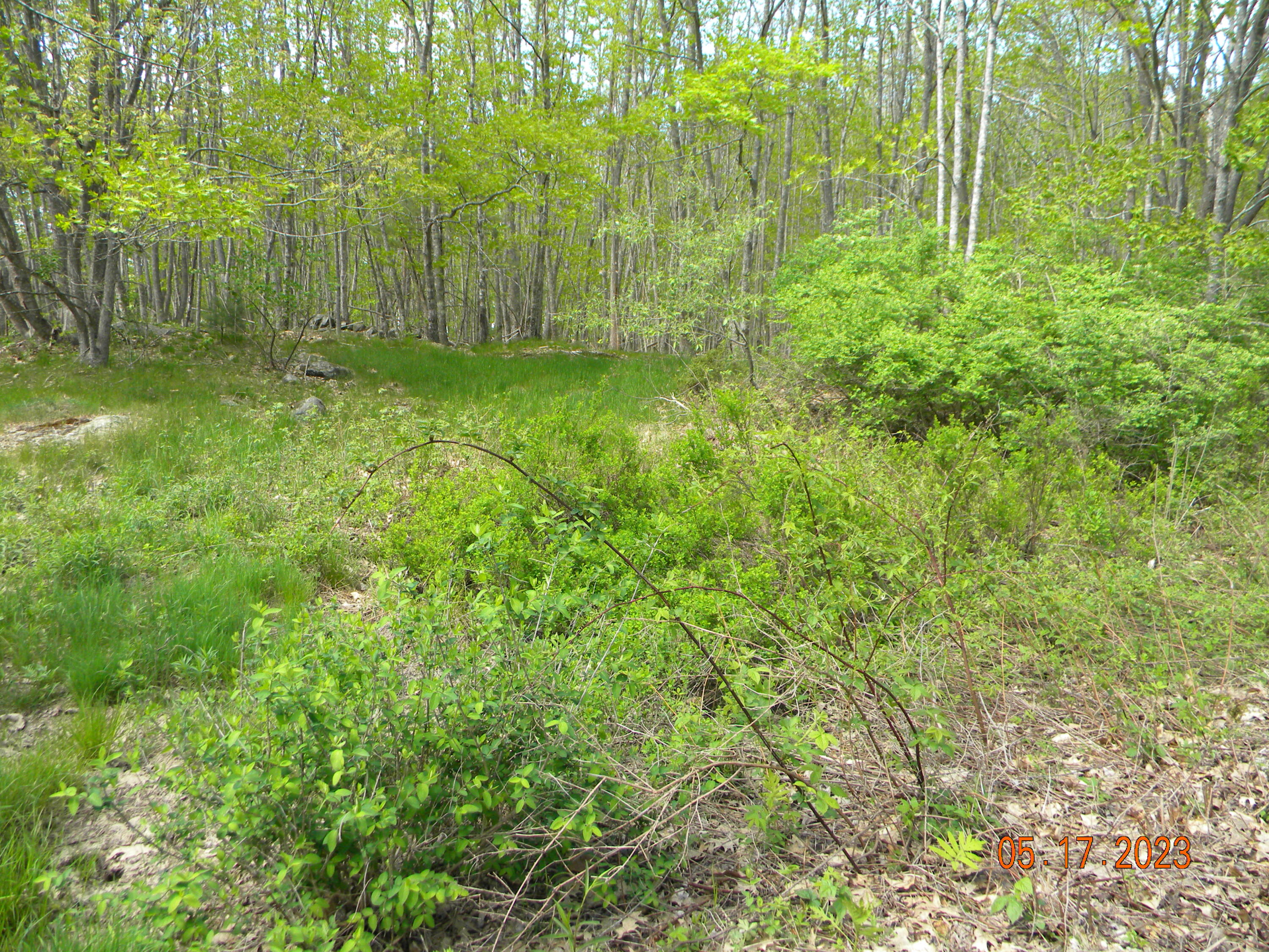 369 Barley Neck Road, Lot C