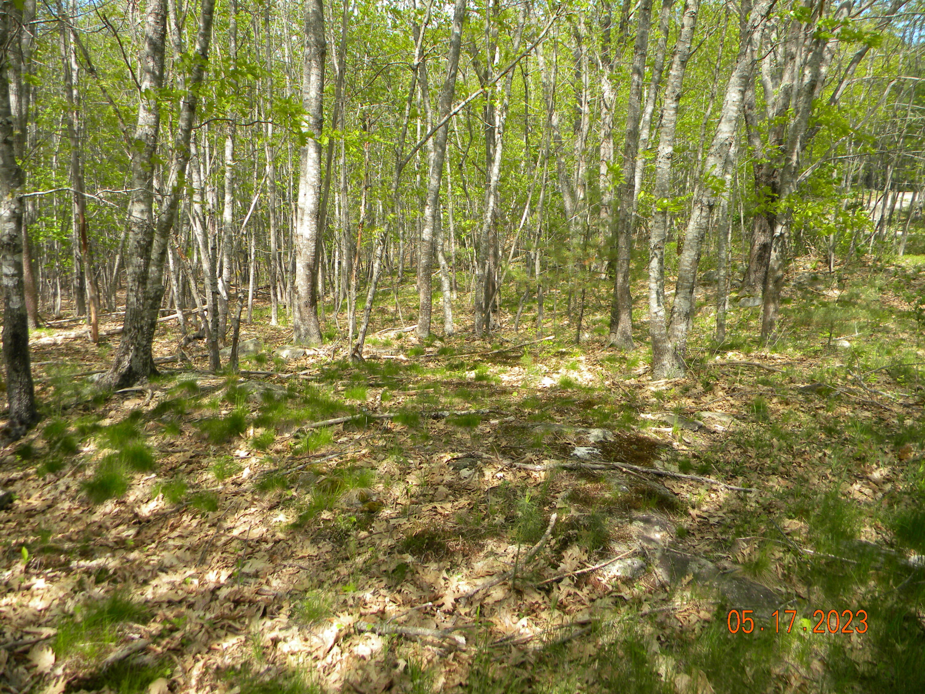 369 Barley Neck Road, Lot C