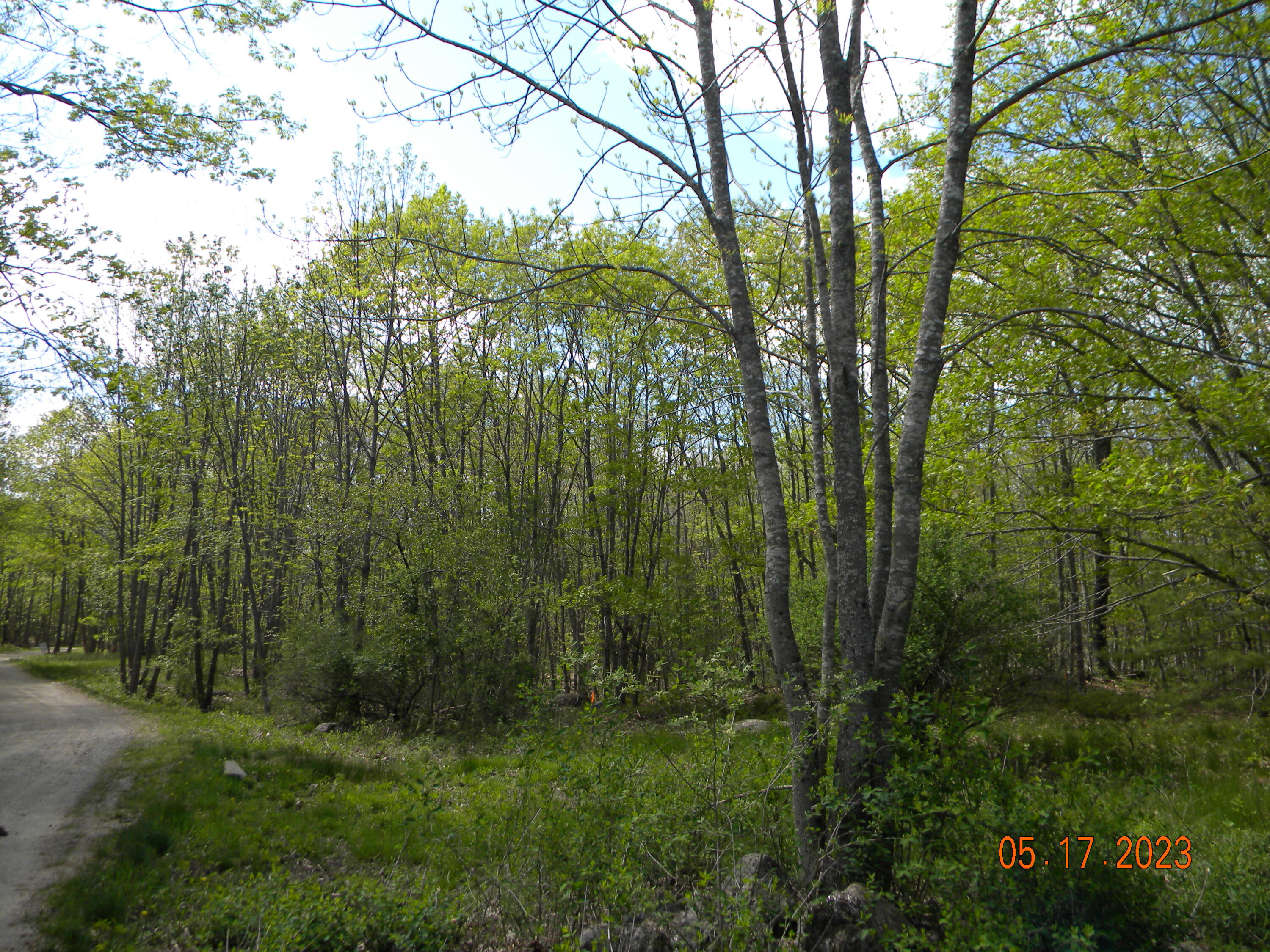 369 Barley Neck Road, Lot C