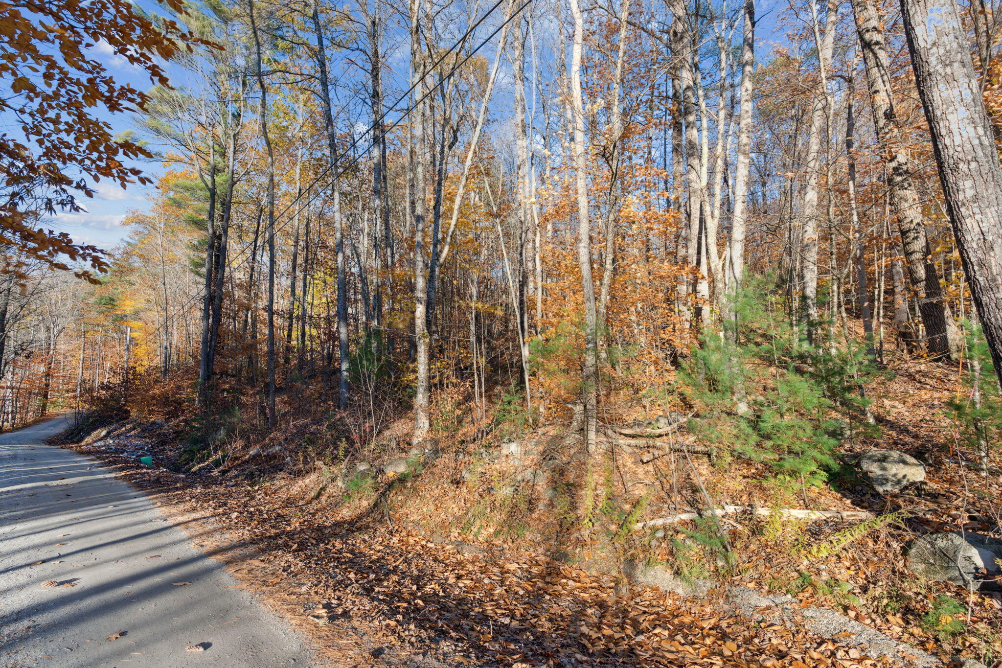 000 Stillwater Road