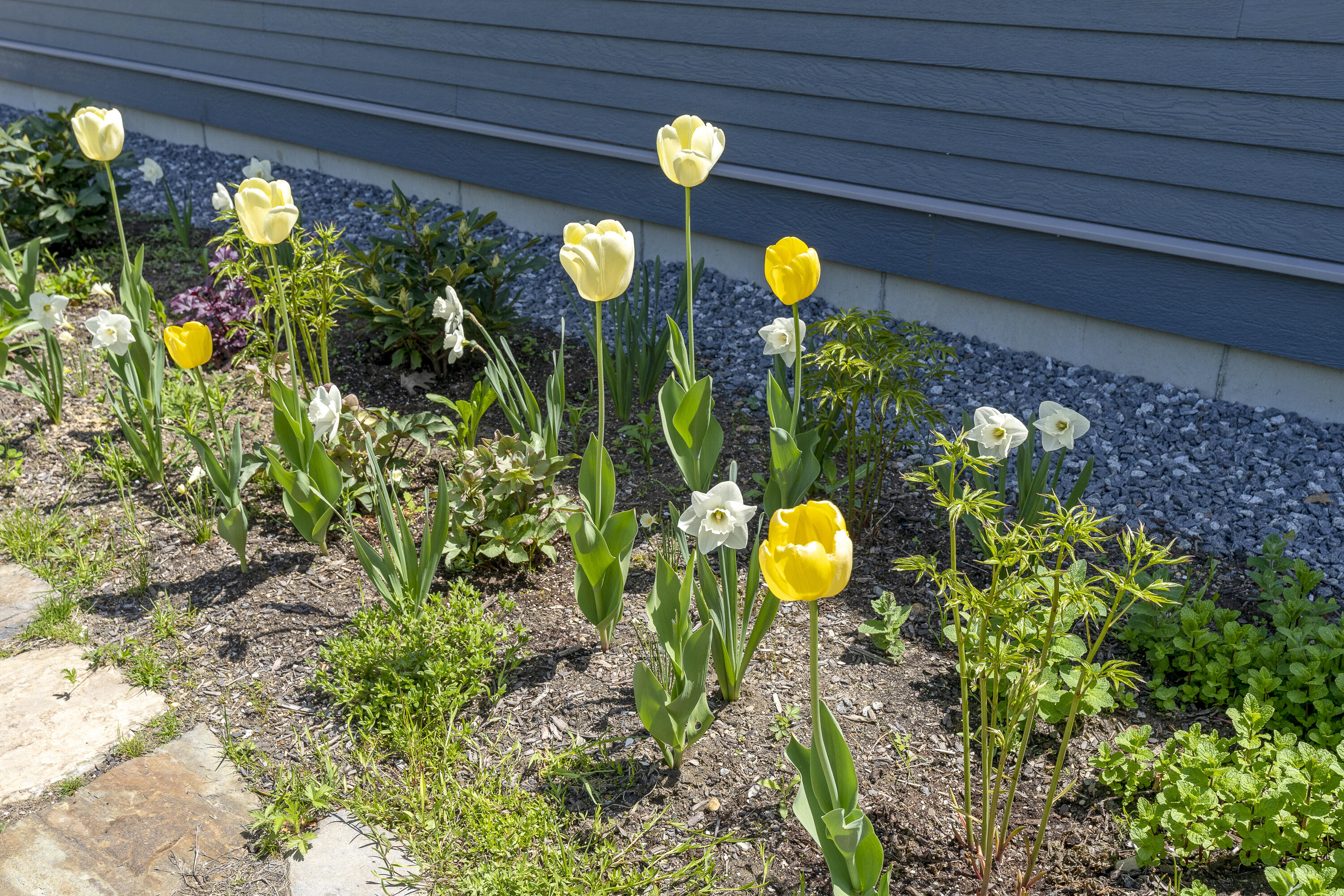 1 Little Bird Lane
