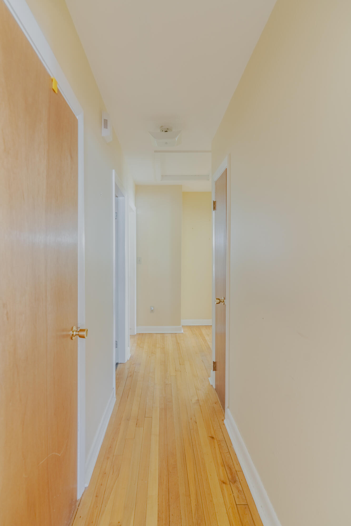 5 Moore Avenue