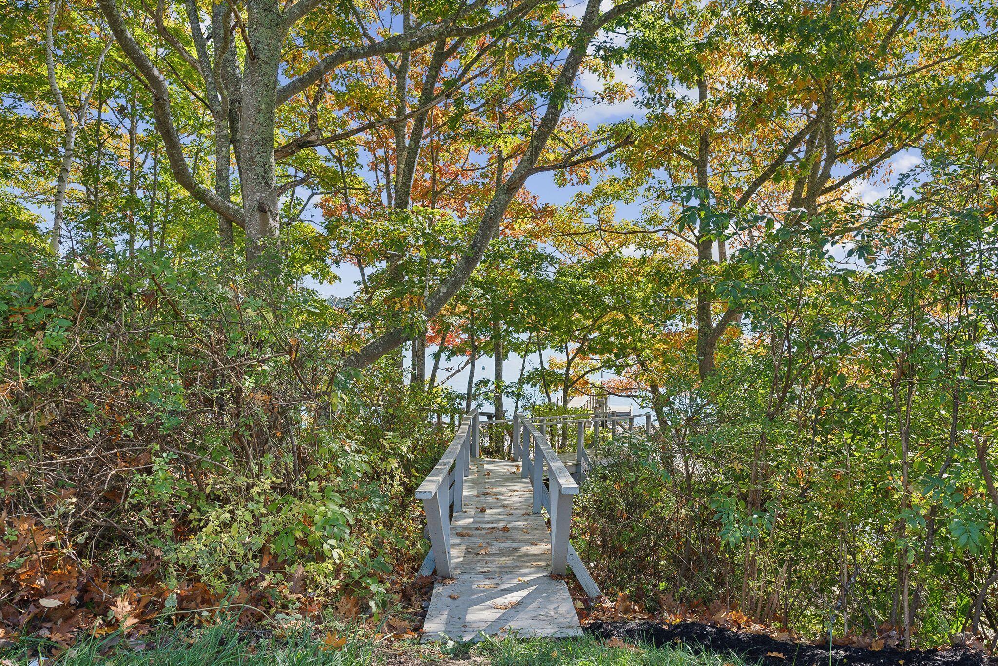 31 Windemere Road