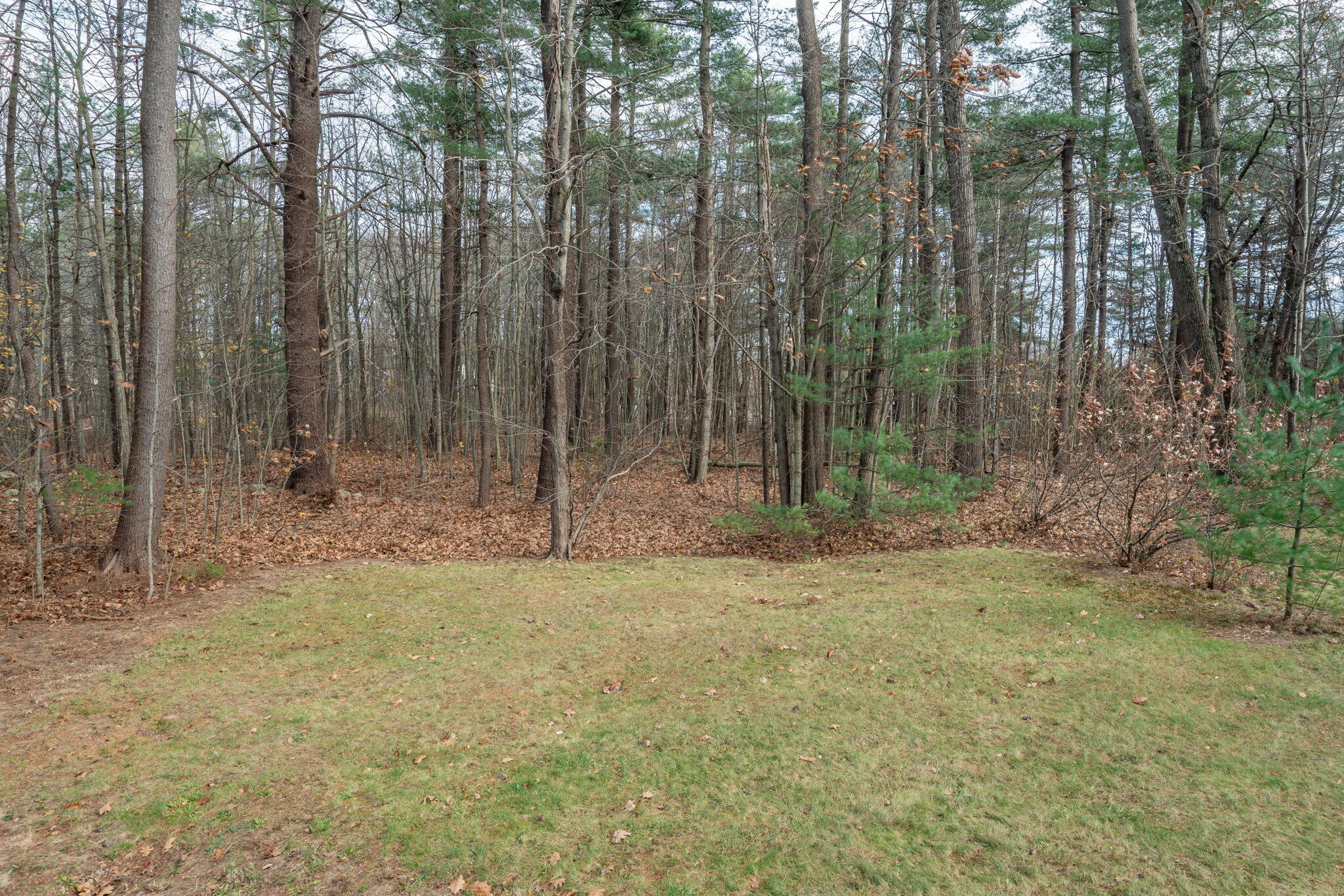 24 Shingle Way