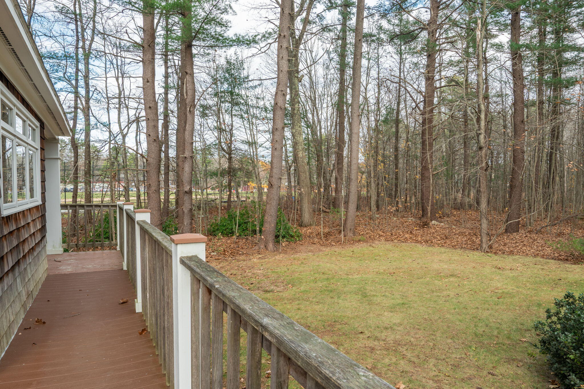 24 Shingle Way