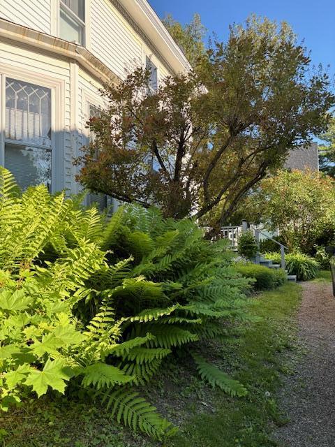 23 Mckinley Street