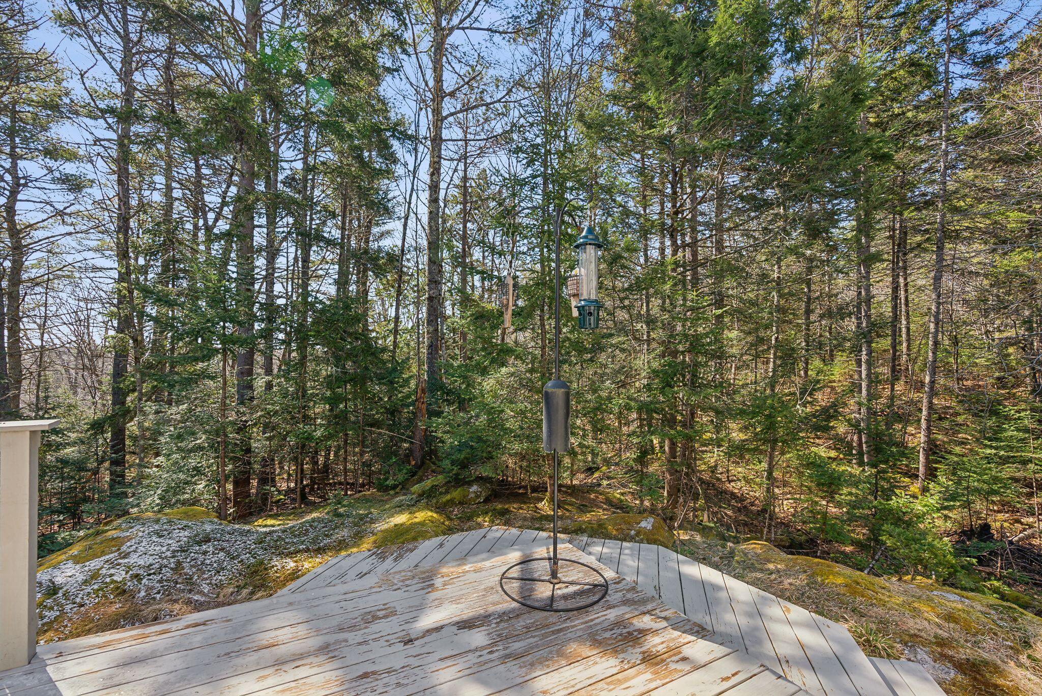 6 Scotch Pine Drive