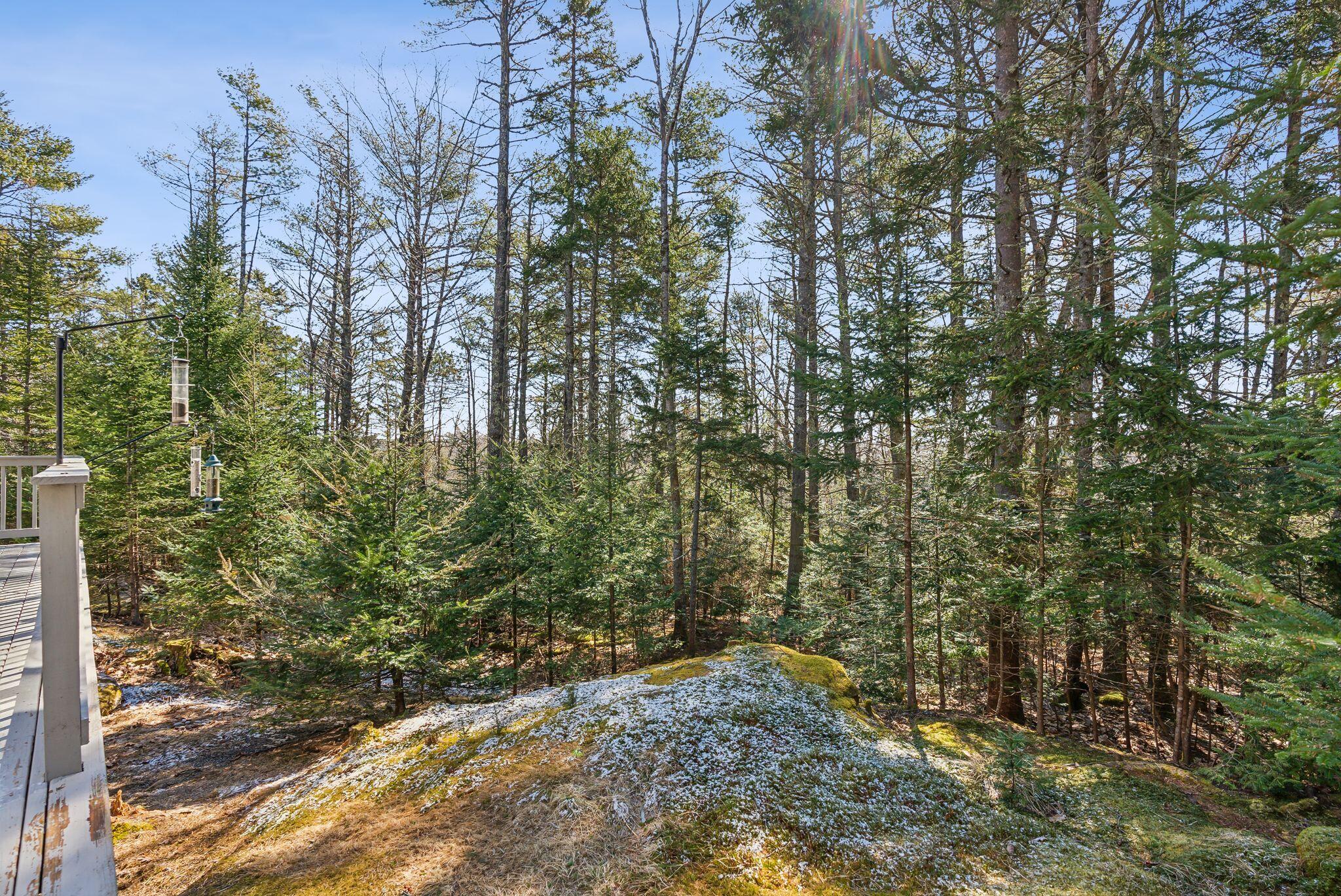 6 Scotch Pine Drive
