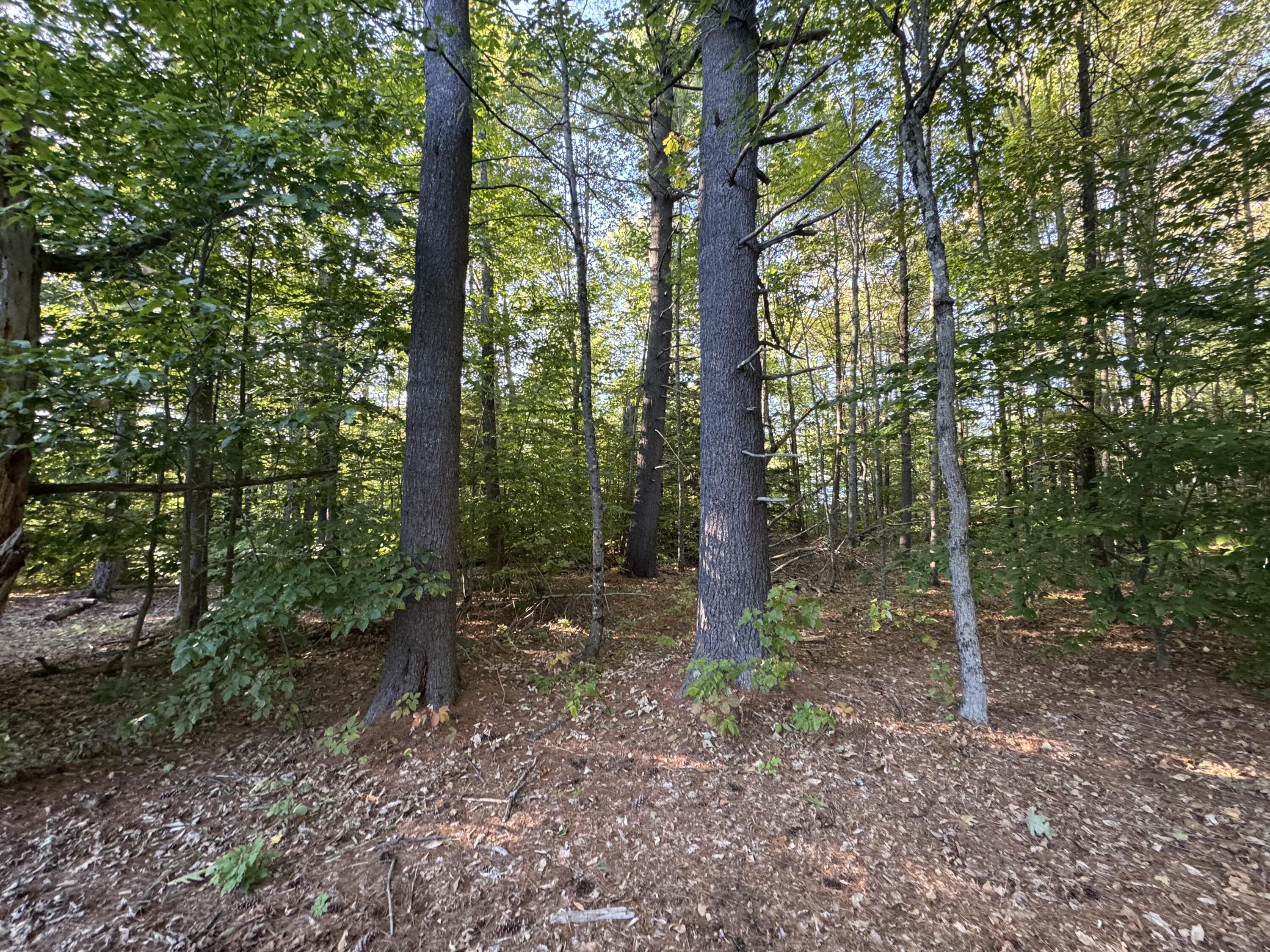 Lot 6 Meadowood Drive