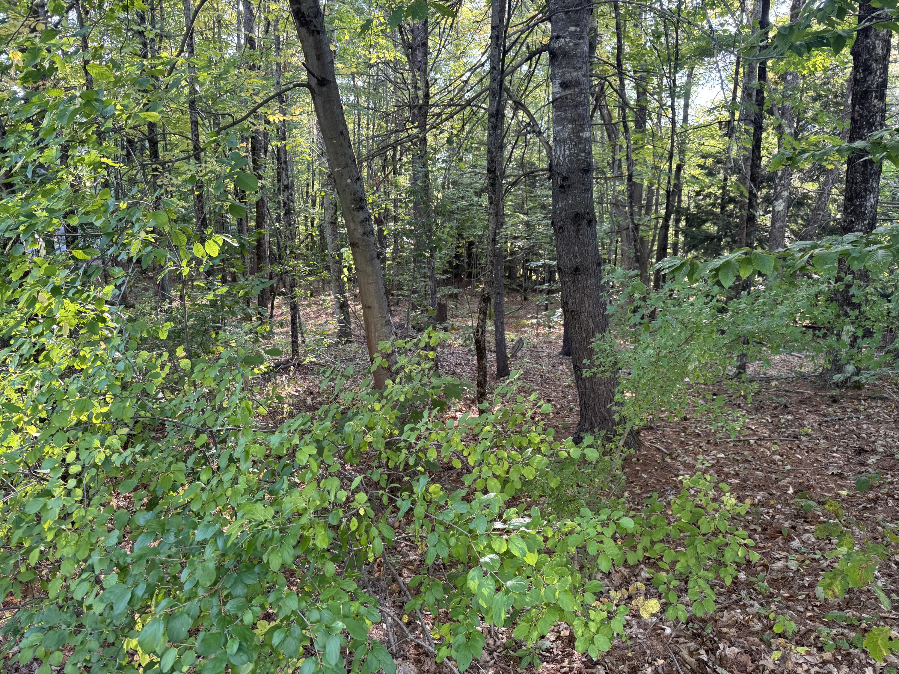 Lot 6 Meadowood Drive