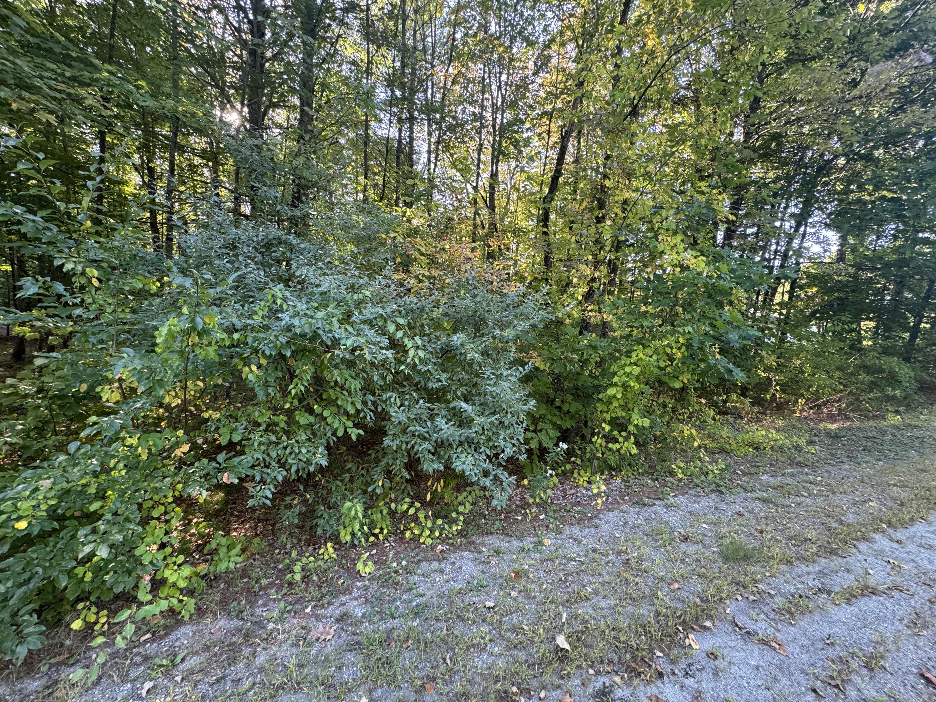 Lot 6 Meadowood Drive