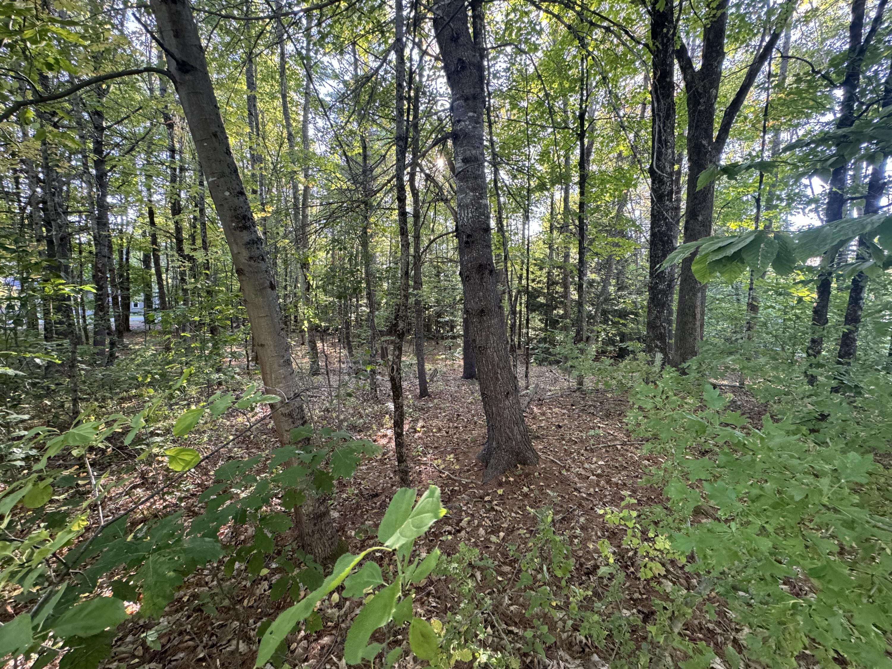 Lot 6 Meadowood Drive