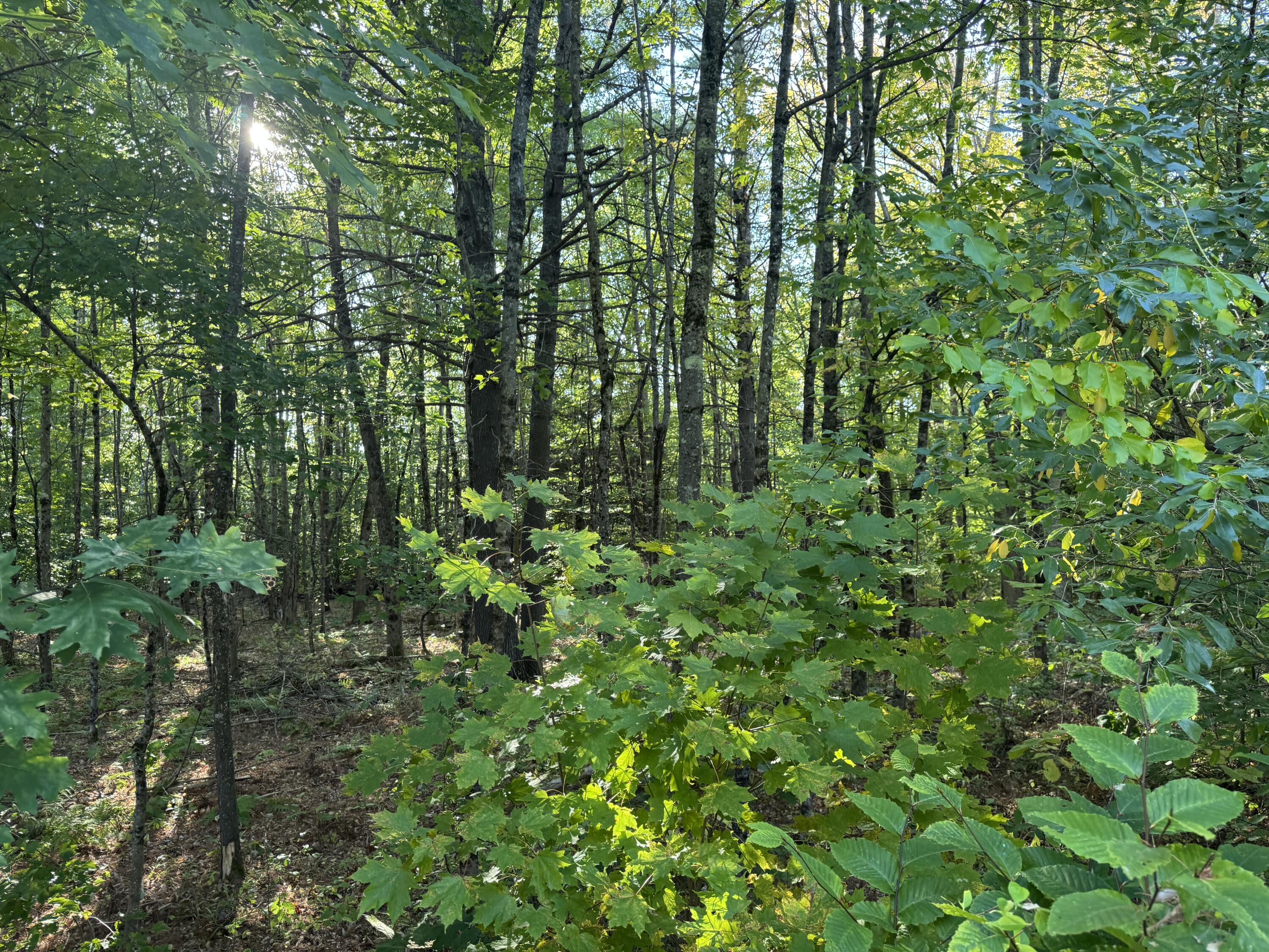 Lot 6 Meadowood Drive