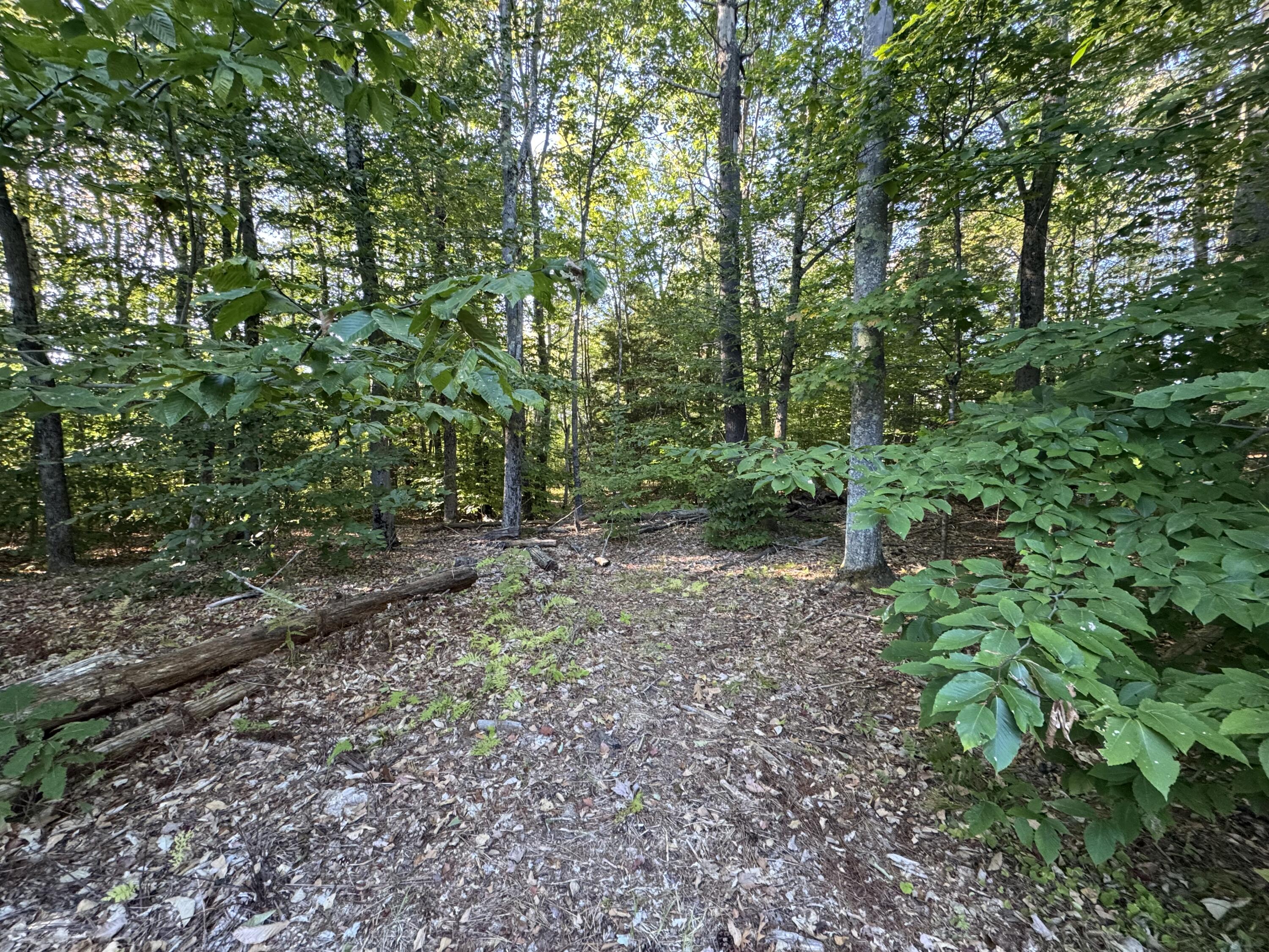 Lot 6 Meadowood Drive