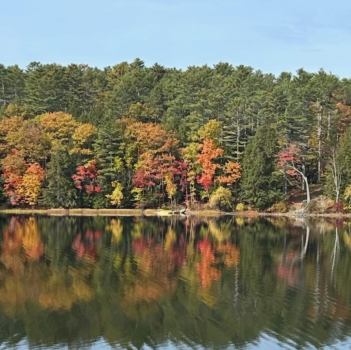 183 Loon Cove Lane